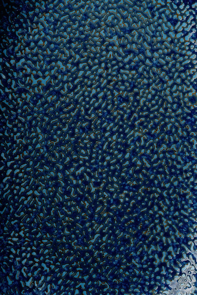 Блюдо Синий Сервировочные блюда Блюда Столовая посуда Столовая посуда и предметы сервировки HoReCa