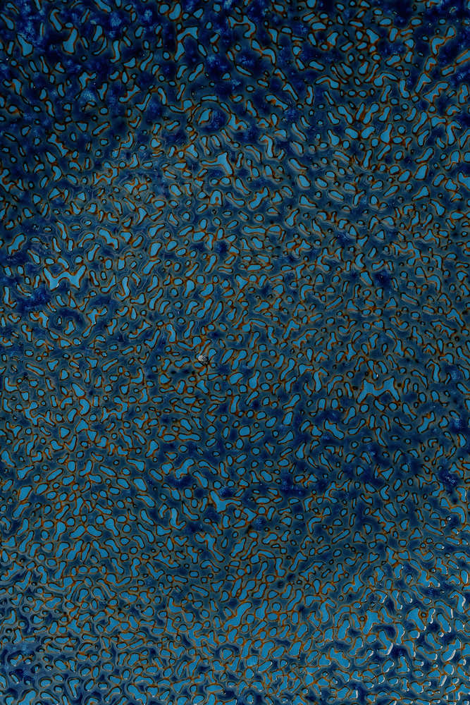 Комплект из 25 предметов на 6 персон Синий Наборы посуды Столовая посуда Столовая Для дома